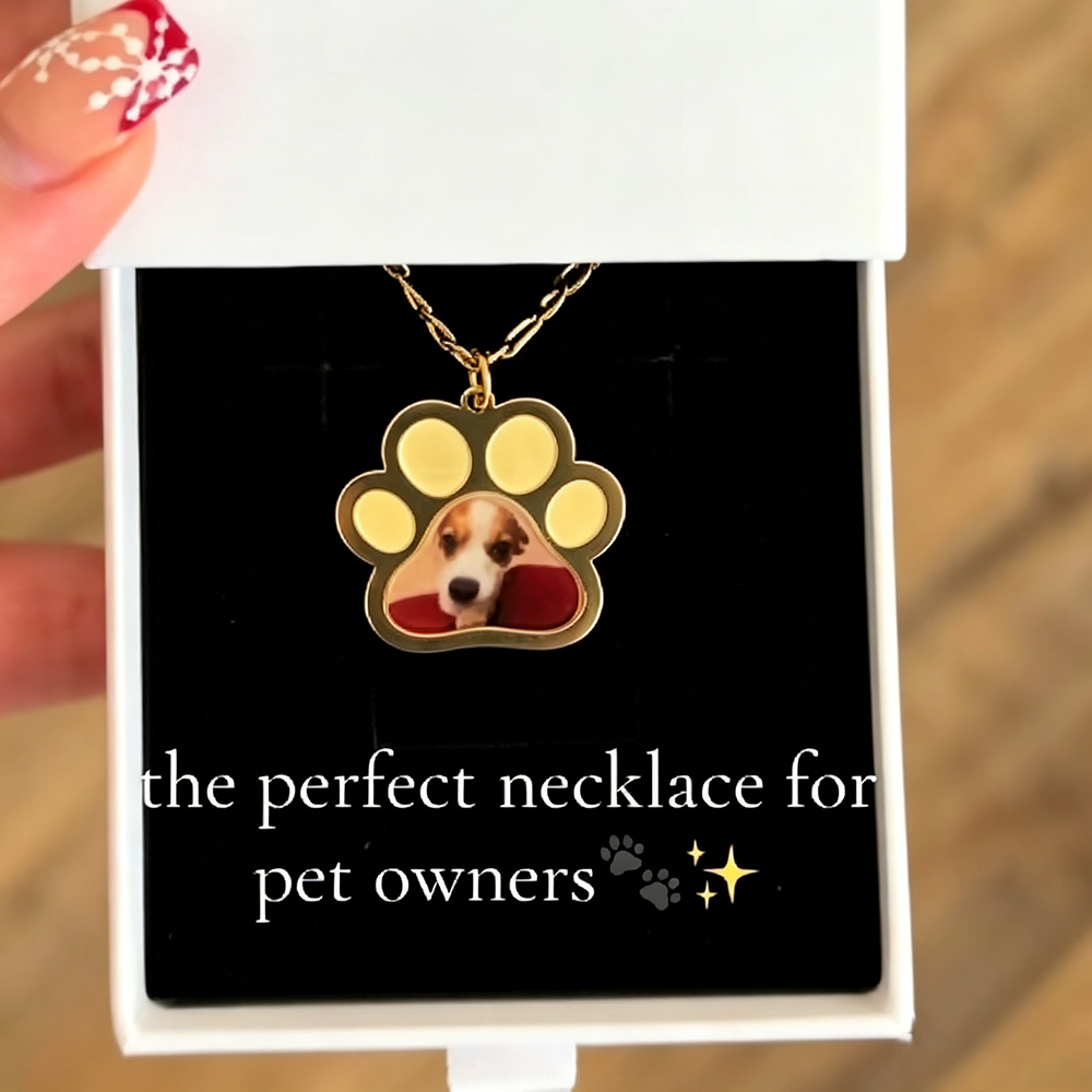 Personalized Pet Paw Colors Pr - đánh giá và giá Pet Portrait Custom