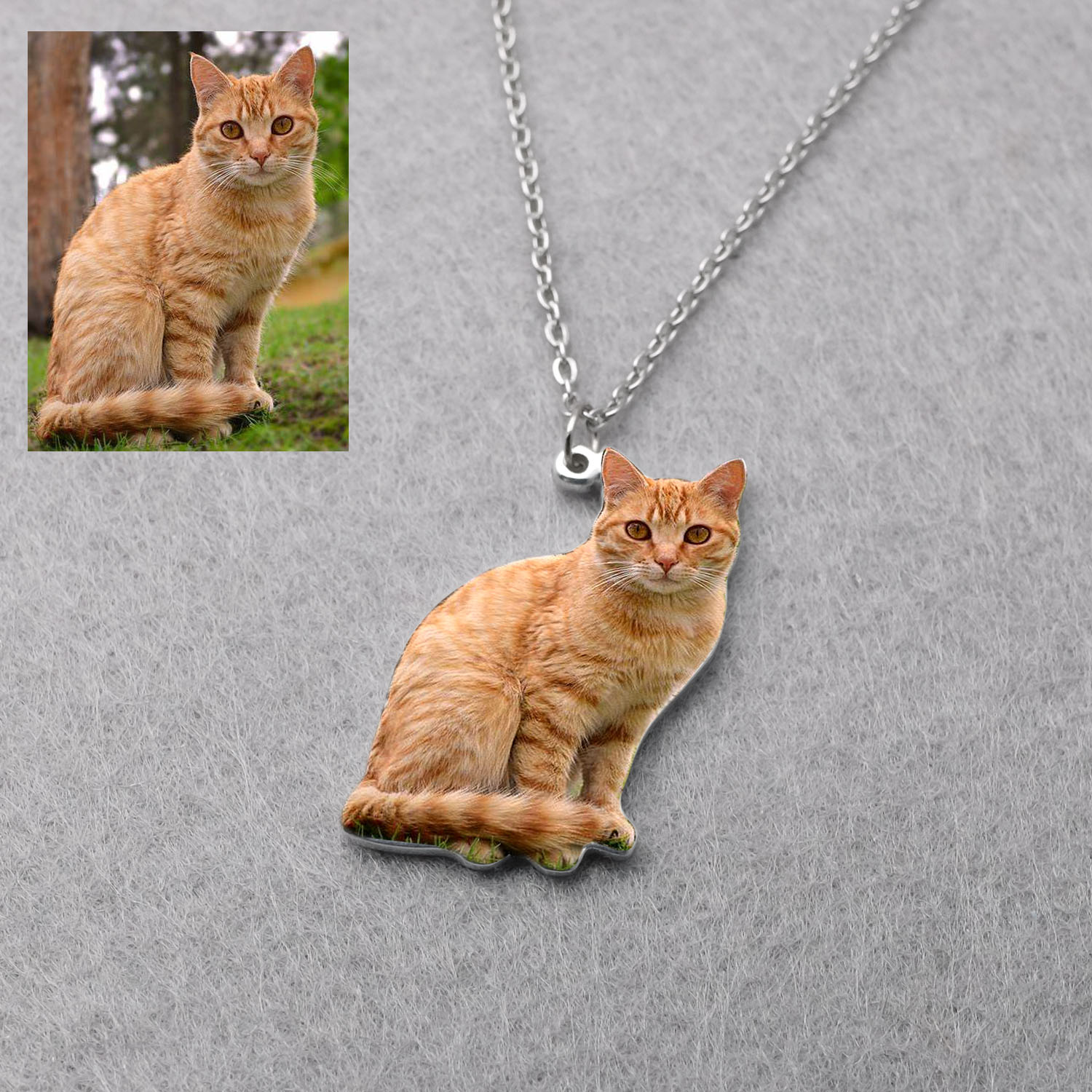 Cá Tính Thú Cưng Hình Vòng Cổ  - đánh giá và giá Pet Portrait Custom